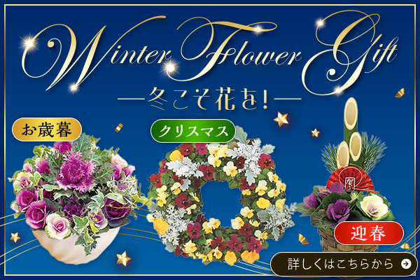 ウインターギフト