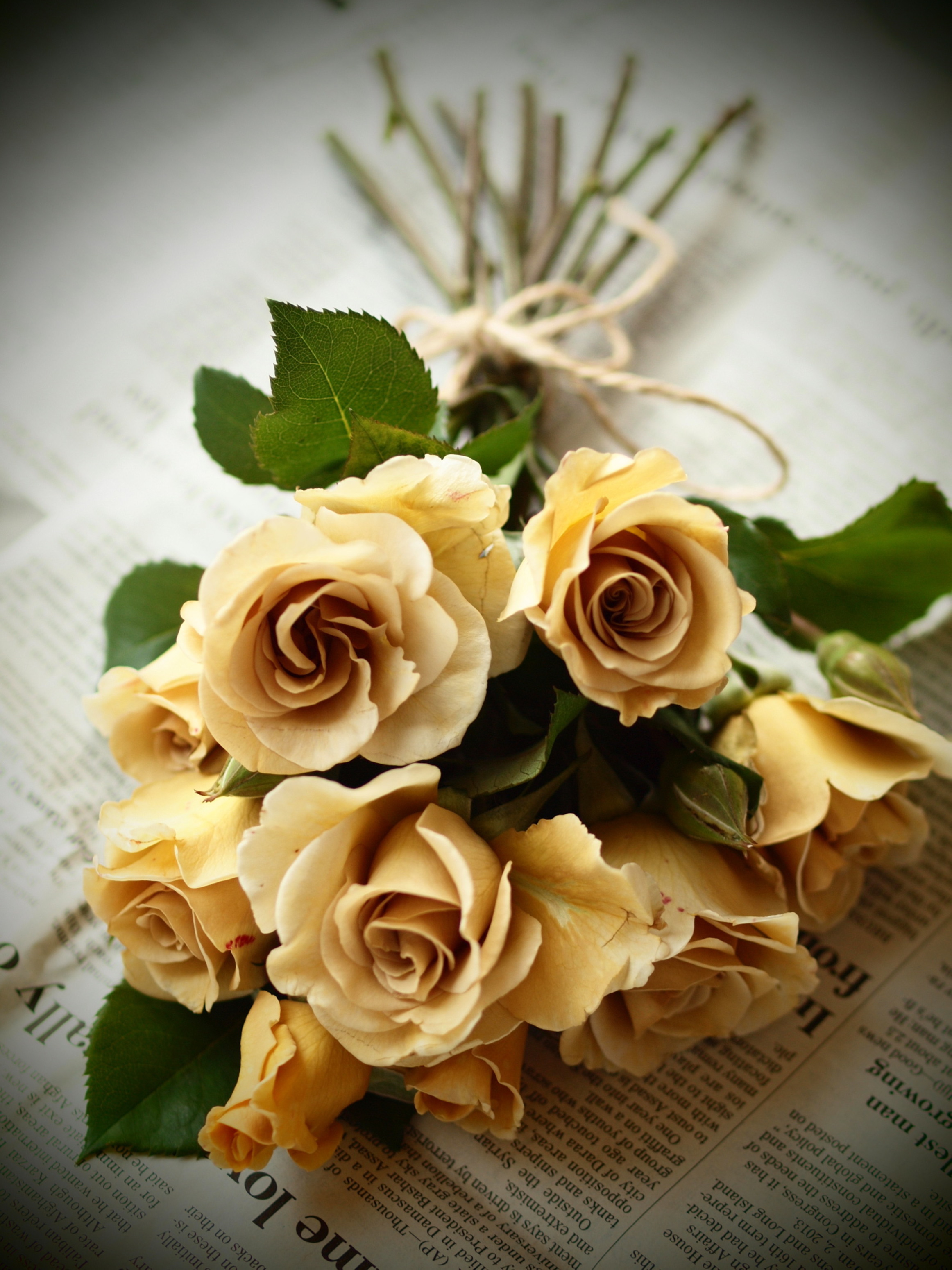 images