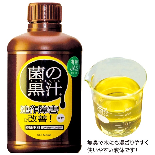 黒汁 seedcoms（シードコムス） するっと黒汁 1箱30包入り×2箱 チャコール