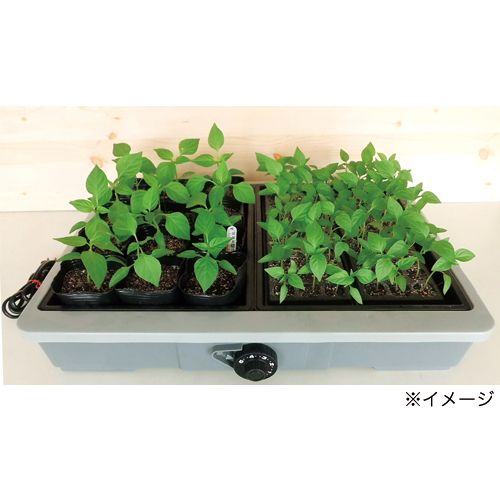 イル　愛菜花（育苗器） 園芸ネット本店｜[送料無料]家庭用発芽育苗器：愛菜花（あいさいか
