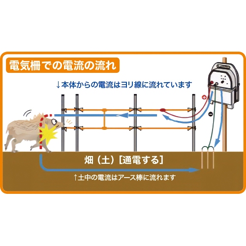 家庭菜園用電柵 アポロ家庭菜園用電柵100m2段張りセット| 種・苗