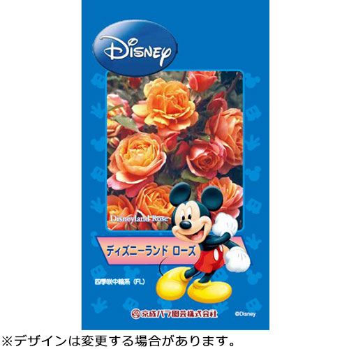 バラ・ディズニーランド ローズ 農水省登録品種(品種名:ジャクマウス
