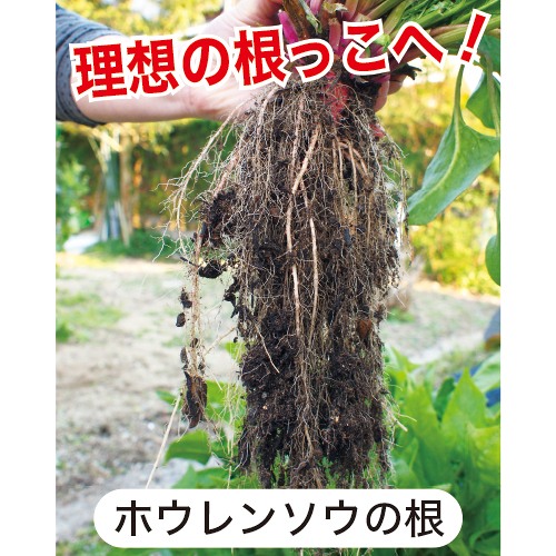 菌の黒汁&連作障害ブロックW| 種・苗・ガーデニング用品の【タキイ