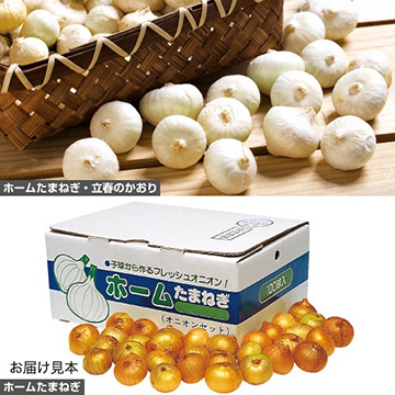 ホームたまねぎ2種 セット