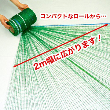 715-TNZ762.jpg?1