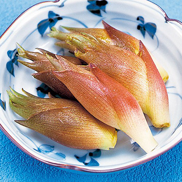⑦みょうが地下茎　いちご様連絡用 竹内農園 LEDいちご「とくしまいちご（品種 さちのか）」徳島県産 約 香味・薬味野菜