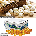 ホームたまねぎ2種 セット