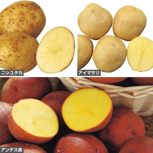 じゃがいも・食べ比べ セット
