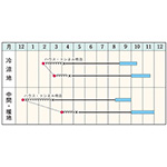 根深ネギ・名月一文字| 種・苗・ガーデニング用品の【タキイネット通販】