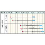 根深ネギ・初夏一文字| 種・苗・ガーデニング用品の【タキイネット通販】
