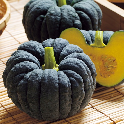 日本カボチャ・はやと