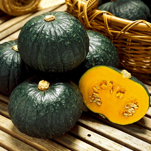 西洋カボチャ・ほっこり133