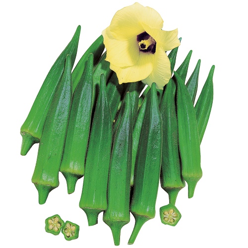 5角オクラ・アーリーファイブ