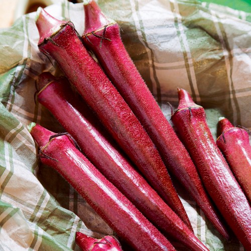 丸オクラ・赤まるみちゃん