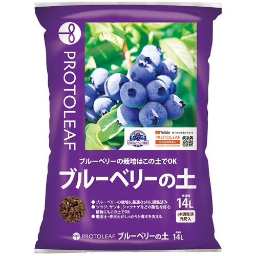 ブルーベリー苗 42本セット(6品種×7本) ブルーベリー苗 42本セット(6品種×7本) ブルーベリー苗 42本セット(6