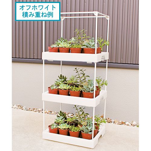 多肉マンション オフホワイト 2個| 種・苗・ガーデニング用品の