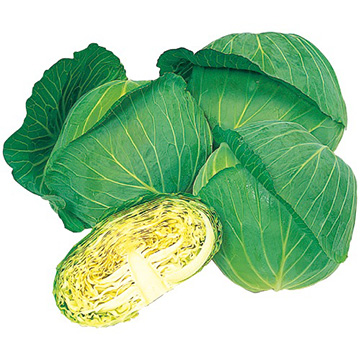 キャベツ・若峰
