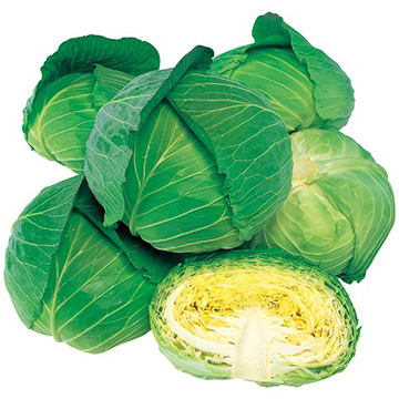 キャベツ・彩風