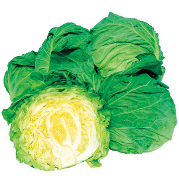 キャベツ・北ひかり