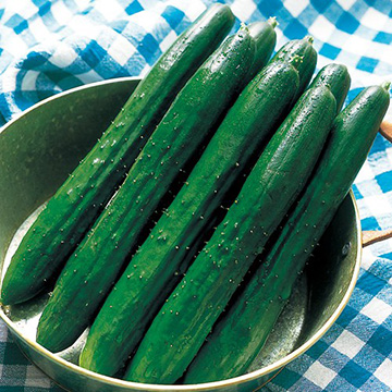 キュウリ・つばさ