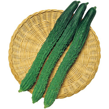 四葉系キュウリ・鈴成四葉