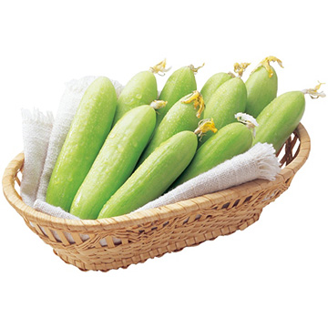 ミニキュウリ・ラリーノホワイト