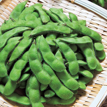 エダマメ・あじみのり