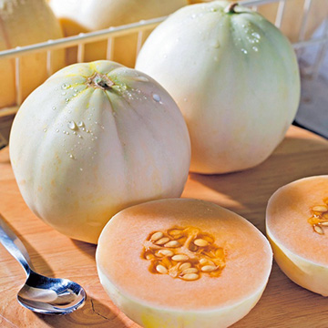 メロン・かわい～ナ