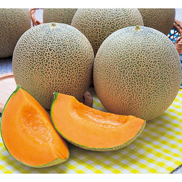 メロン・レノンウエーブ