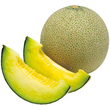 メロン・パンナTF