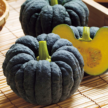 日本カボチャ・はやと