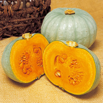 西洋カボチャ・夢味