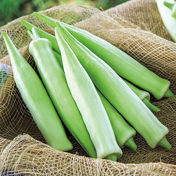 丸オクラ・ヘルシエ