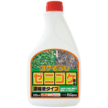 タニワタリノキ　コケ順いいです 今日の花＊タニワタリの木 | 備前焼窯元 小西陶古