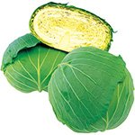 キャベツ・彩里