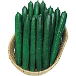 キュウリ・夏ばやし