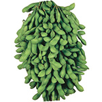 エダマメ・おつまみ娘