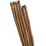 ゴボウ・純三年子 滝野川大長