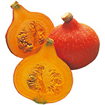 西洋カボチャ・打木早生赤栗