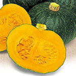 西洋カボチャ・ほっこりえびす