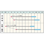 根深ネギ・名月一文字| 種・苗・ガーデニング用品の【タキイネット通販】