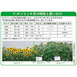 ひまわり・F1サマーサンリッチ オレンジ45| 種・苗・ガーデニング用品