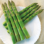 アスパラガス・ゼンユウガリバー| 種・苗・ガーデニング用品の【タキイ