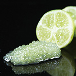 733-NKA195-2131148.jpg?