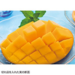 マンゴー・アーウィン（アップルマンゴー）| 種・苗・ガーデニング用品