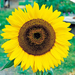 739-FHM111.jpg?202603041439