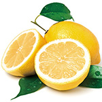 瀬戸内レモン| 種・苗・ガーデニング用品の【タキイネット通販】