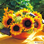 785-FHMA04.jpg?202602031613