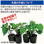 733-NEA004-T.jpg?202602031613