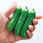 763-ACU711.jpg?202602031613